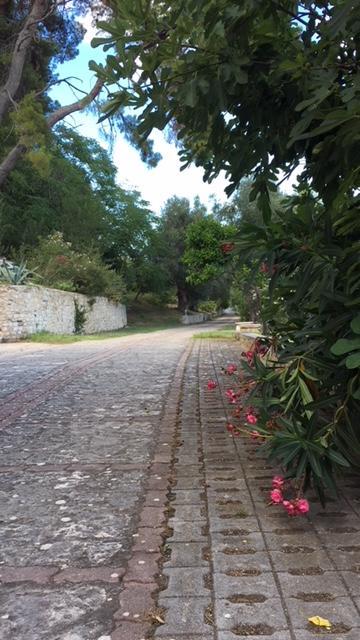 Tenuta Valle Della Corte Vieste Eksteriør bilde